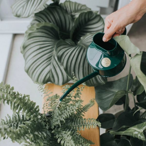 Watering Cans