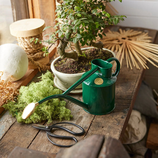 Haws Green Indoor Watering Can on Potting Bench