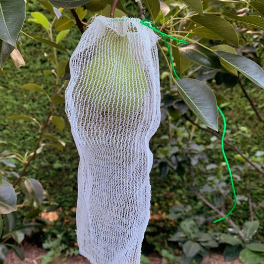 Fruit Protection Bags
