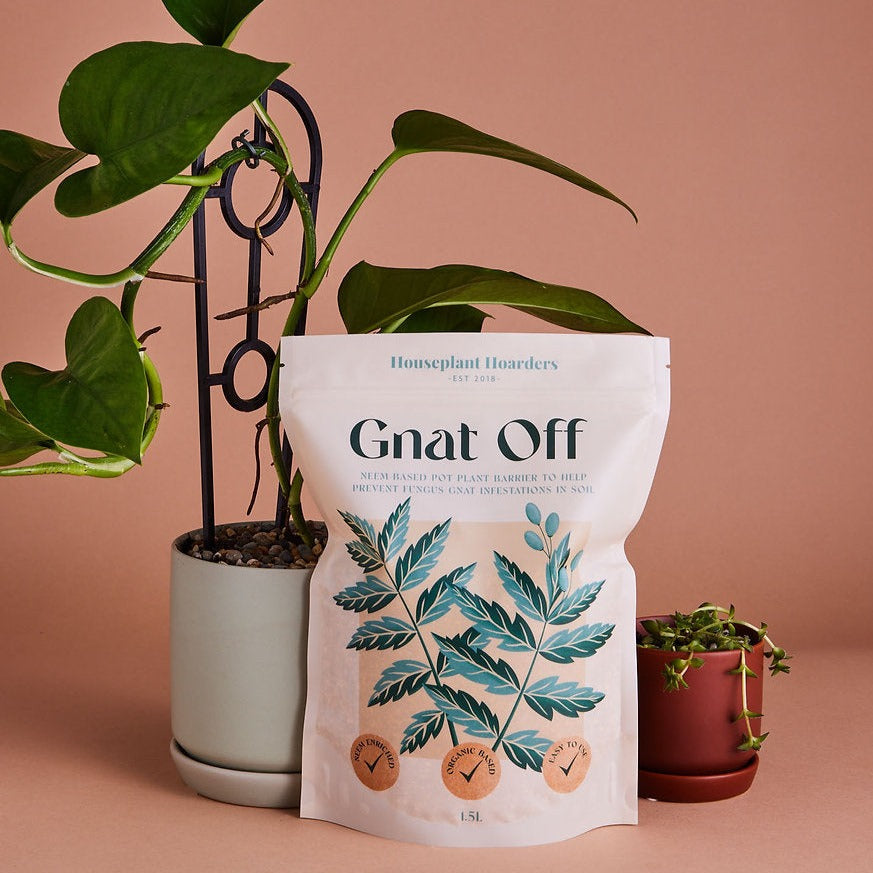 Houseplant Hoarders Gnat Off!