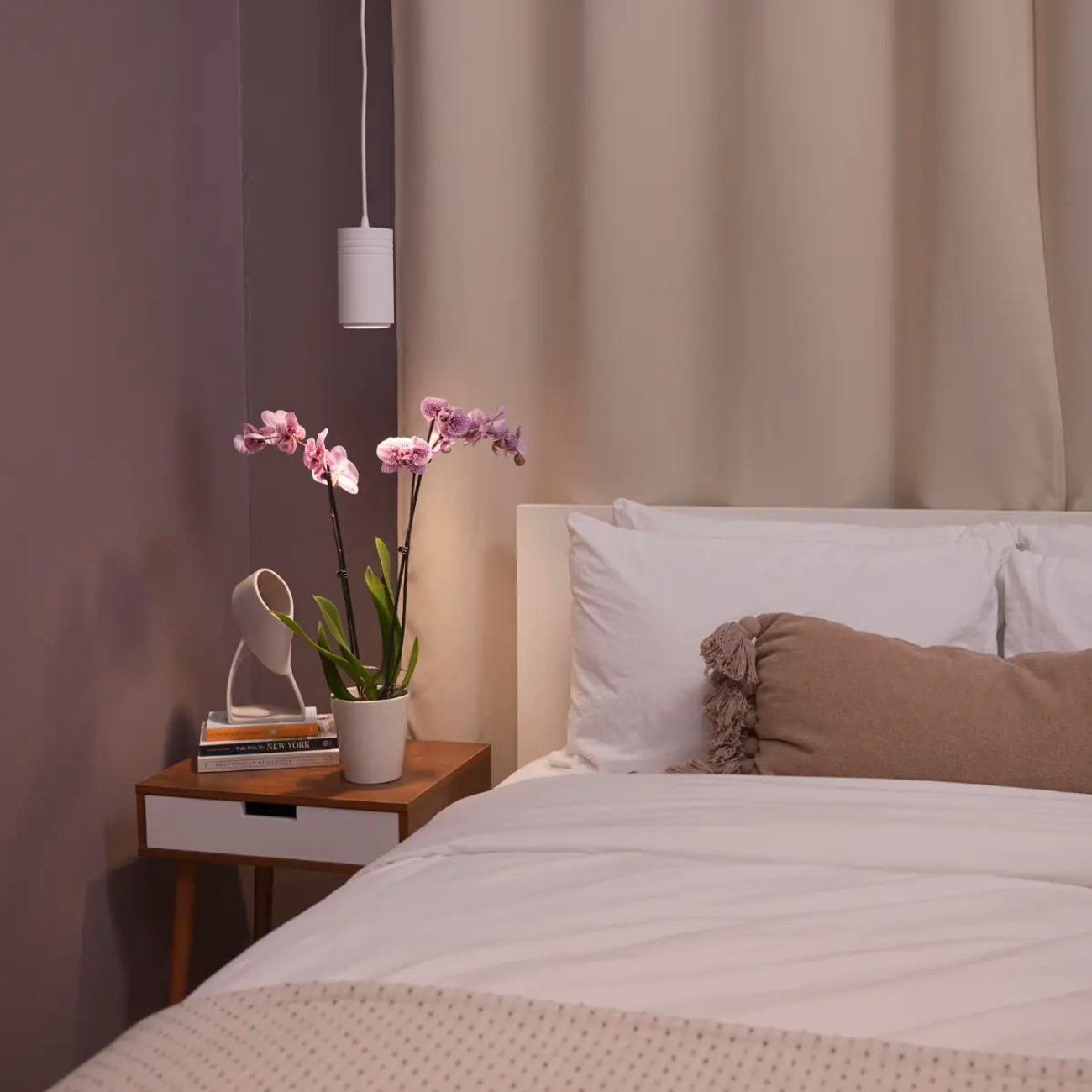 Soltech Gen 2 Aspect™ Grow Light hanging over orchid on bedside table.