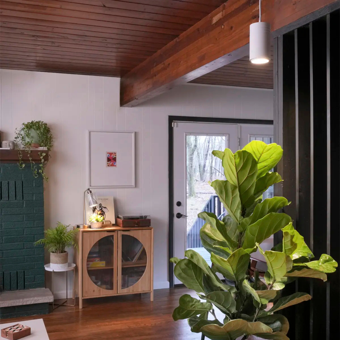 Soltech Gen 2 Aspect™ Grow Light hanging over fiddle-leaf fig in hallway.