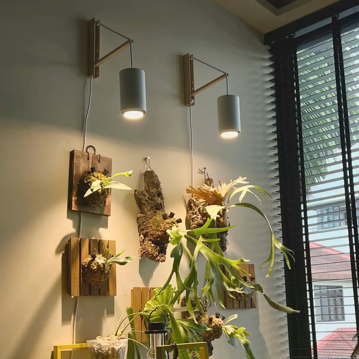 Pair of White Soltech Aspect Grow Lights with Ferns