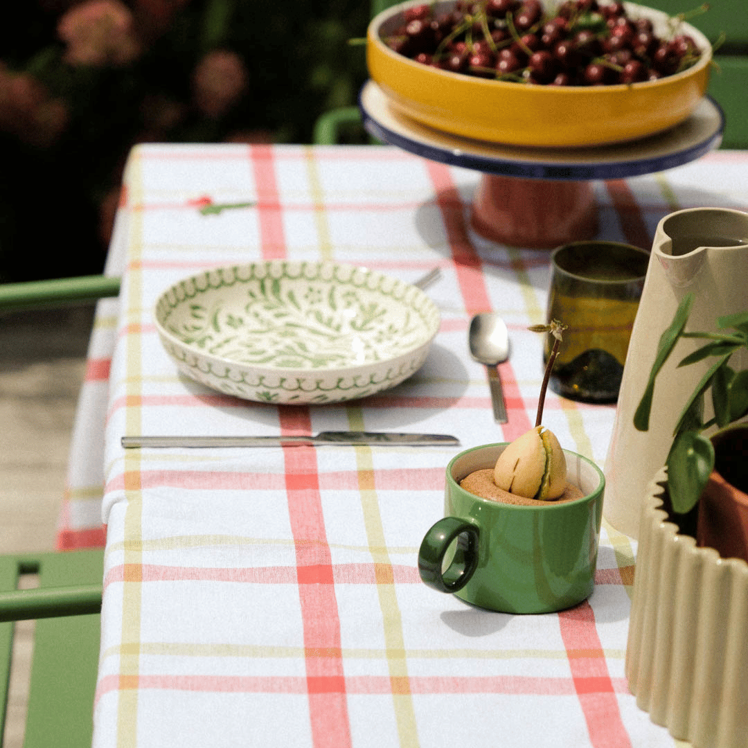 Avocado Plant Growing in Mug on Table