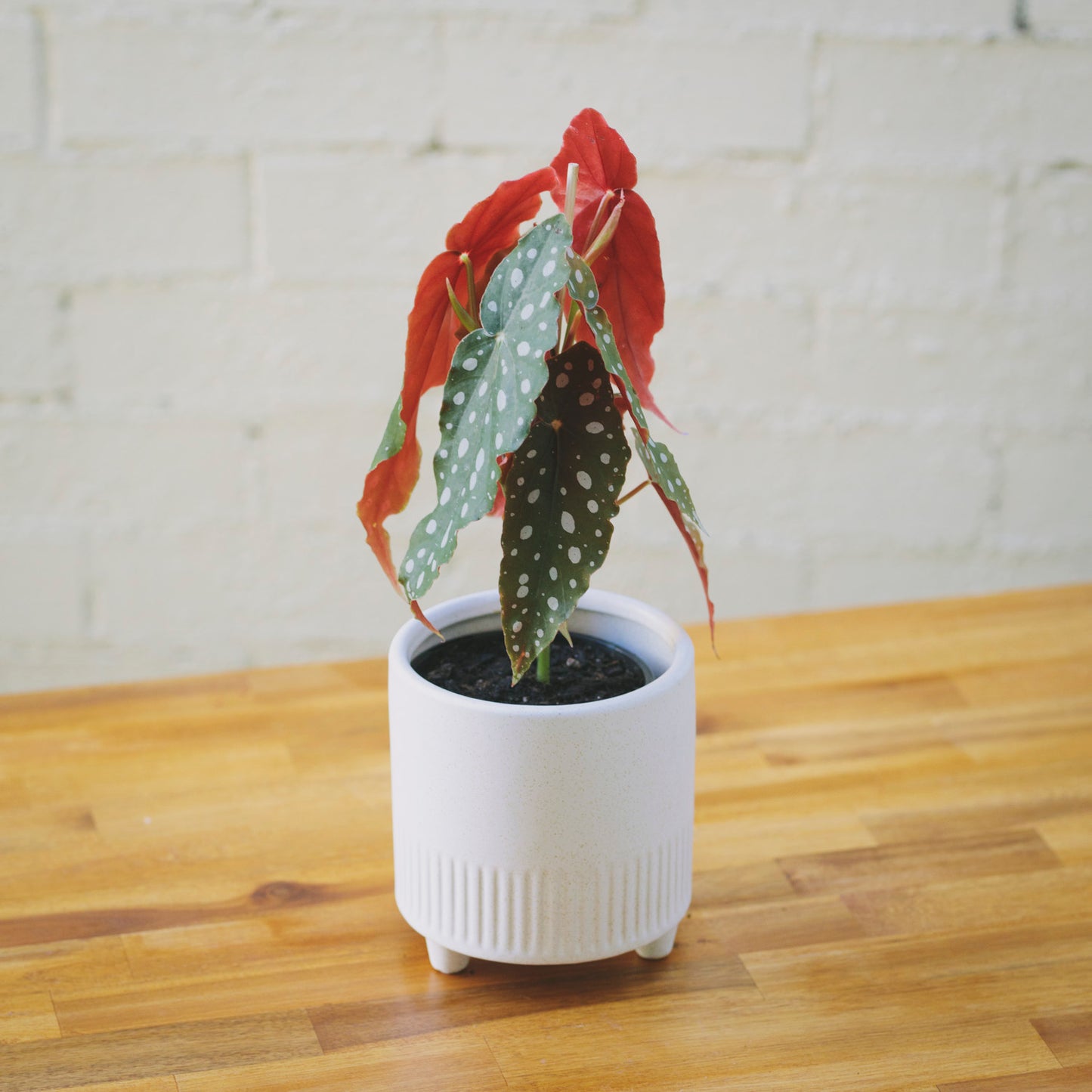 Footed Ceramic Pot