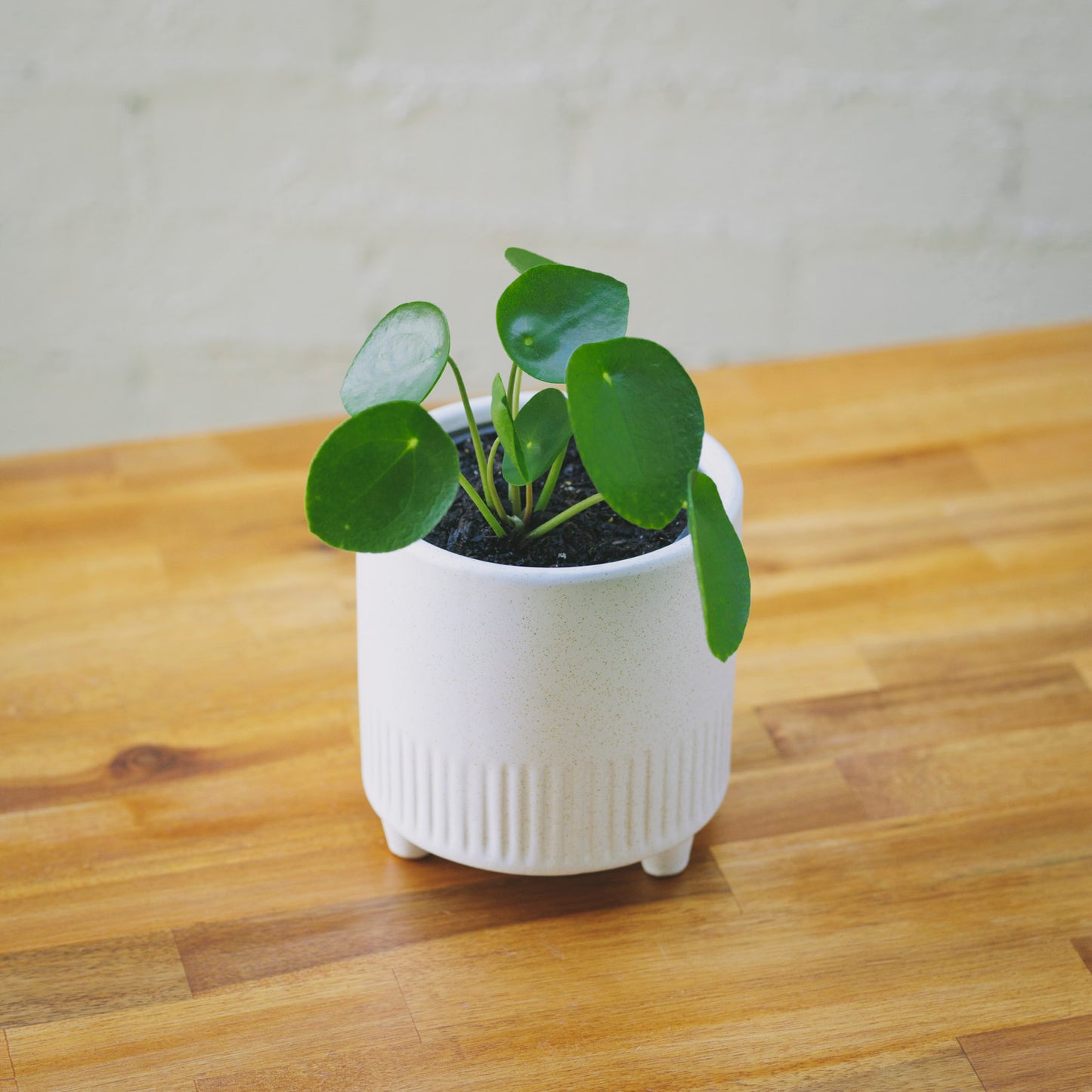 Footed Ceramic Pot