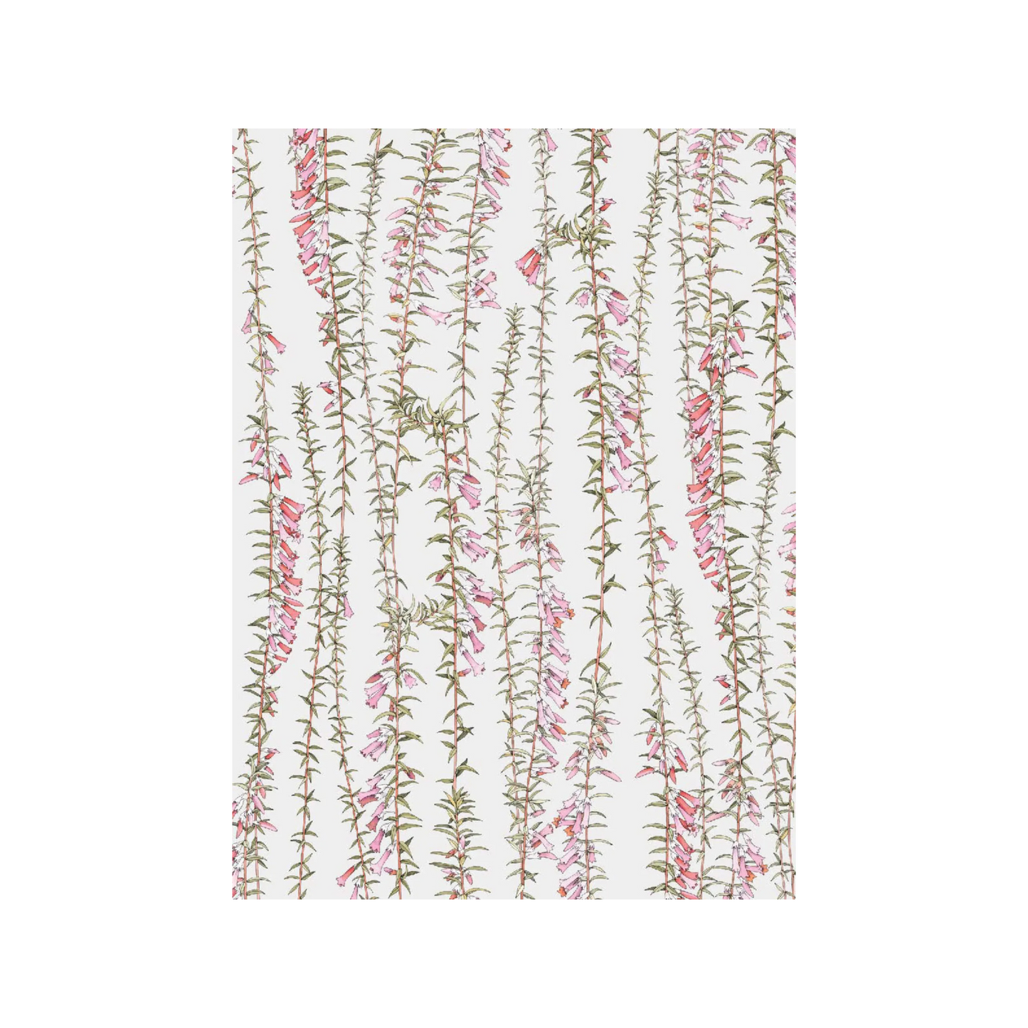 Botanicals by Edith Rewa: Gift Card Design 1