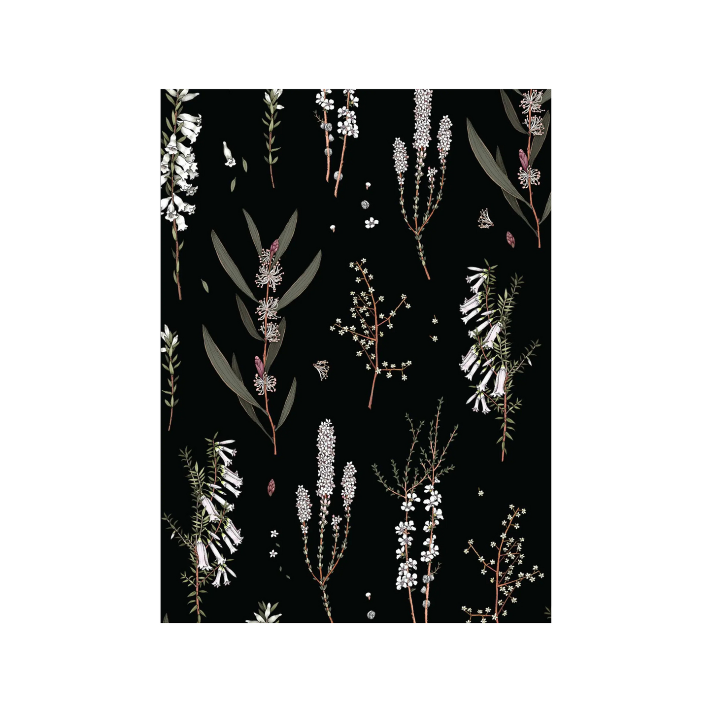 Botanicals by Edith Rewa: Gift Card Design 7