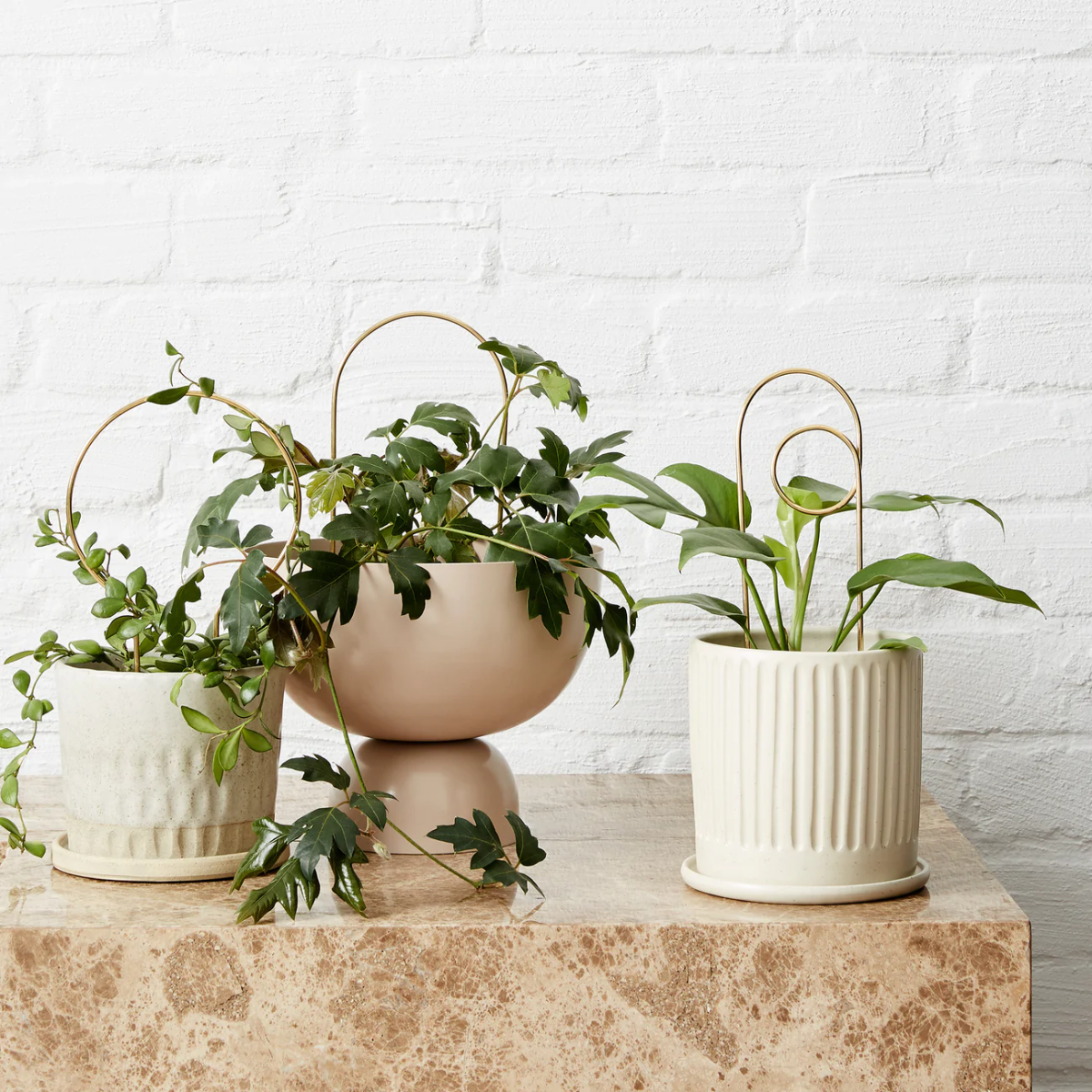 Ivy Muse Brass Plant Stake Bundle Hero