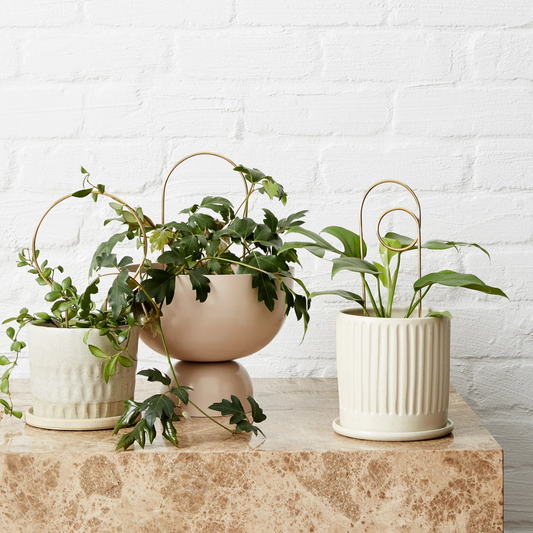 Ivy Muse Brass Plant Stake Bundle Hero