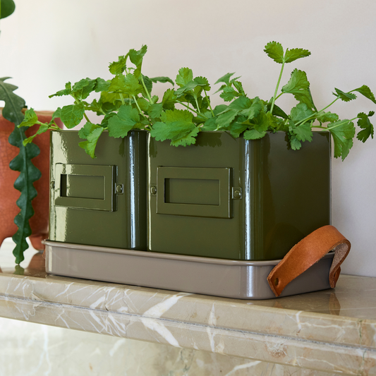 Burgon & Ball Herb Pots, Olive with Growing Herbs