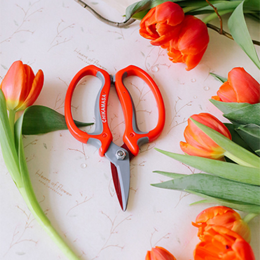 Chikamasa Red Japanese Flower Shears