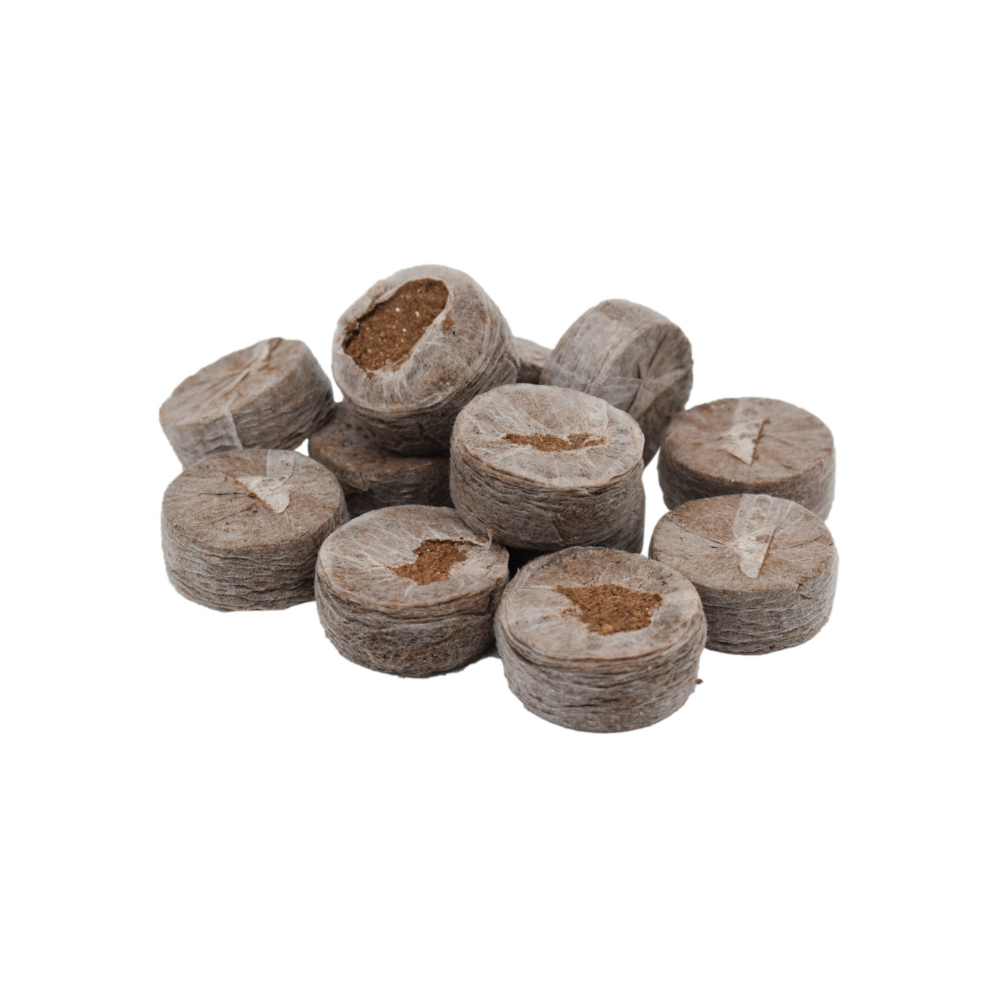 Coir Seed Starters