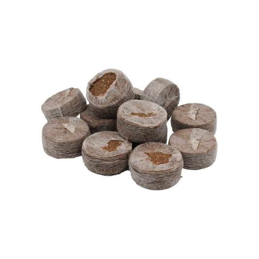 Coir Seed Starters