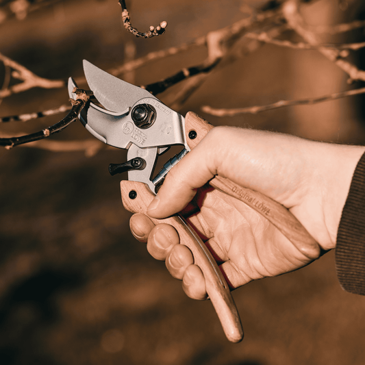 Cutting with Original Lowe N9 Natural Series Bypass Pruner