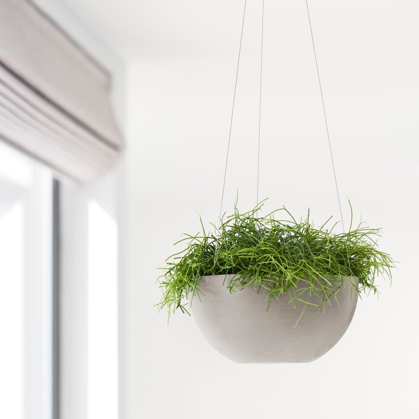 Ecopots Hanging Planter in Taupe