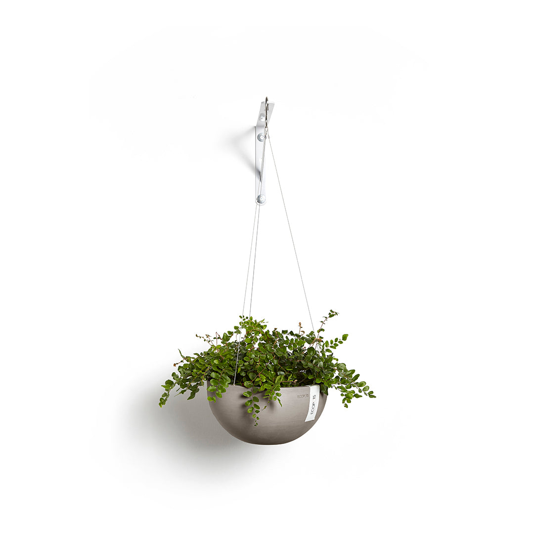 Ecopots Hanging Brussels, Taupe with Plant