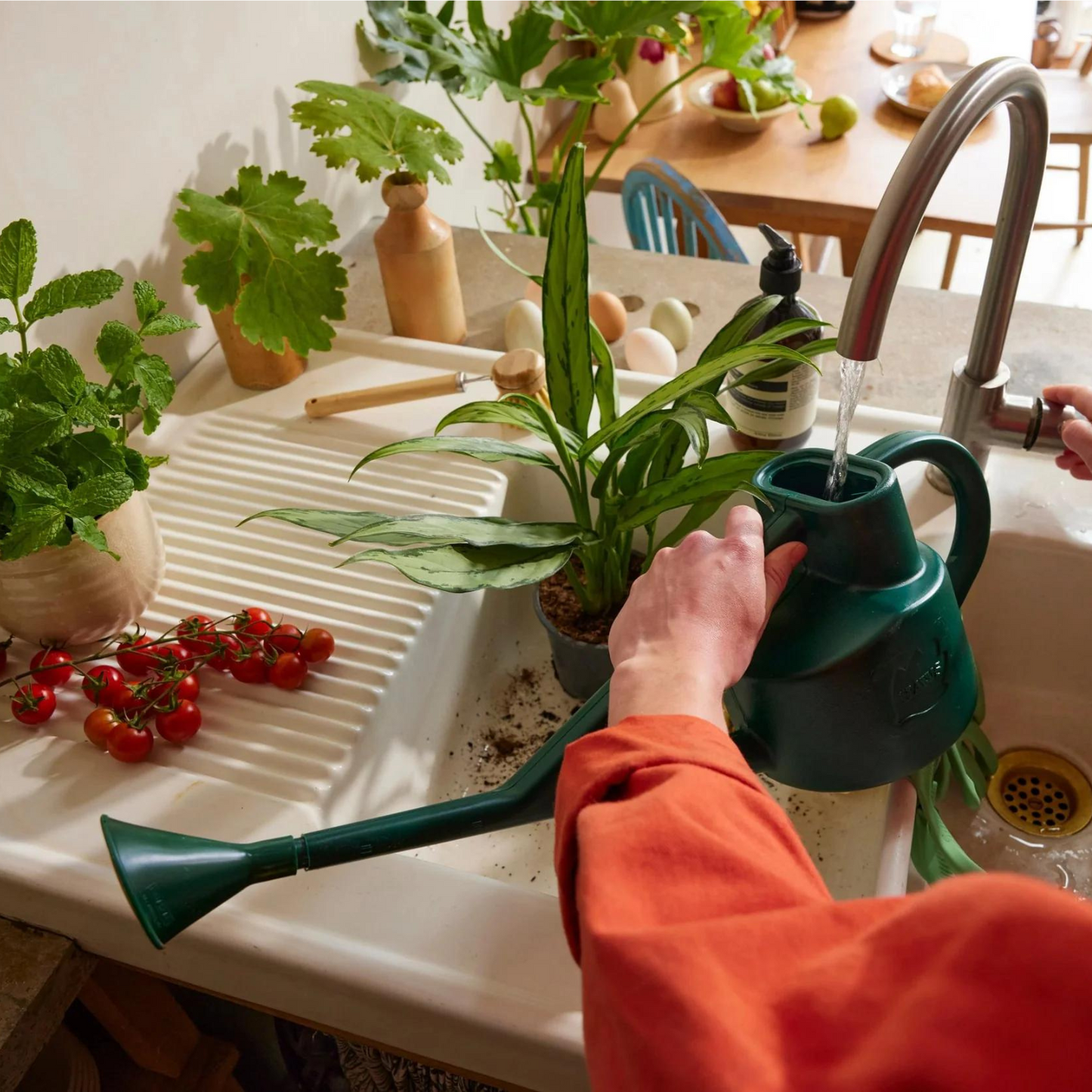 Filling Haws Sutton Splash Watering Can at Sink