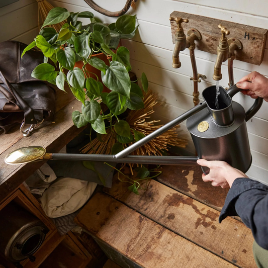 Filling Haws Warley Fall Watering Can
