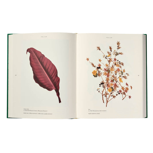 Folium Book Sample Page 90