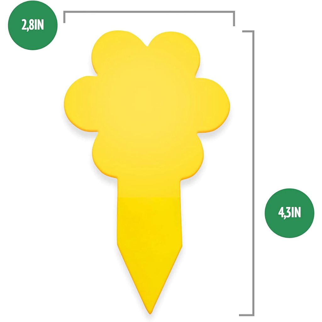 Fungus Gnat Trap Measurements