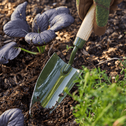 Digging in Soil with Burgon & Ball RHS BoronGreen Hand Trowel