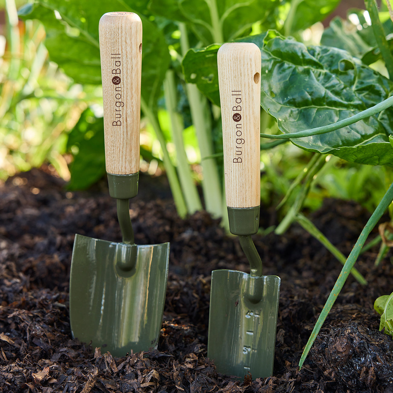 Burgon & Ball RHS BoronGreen Hand Trowel & Transplanter