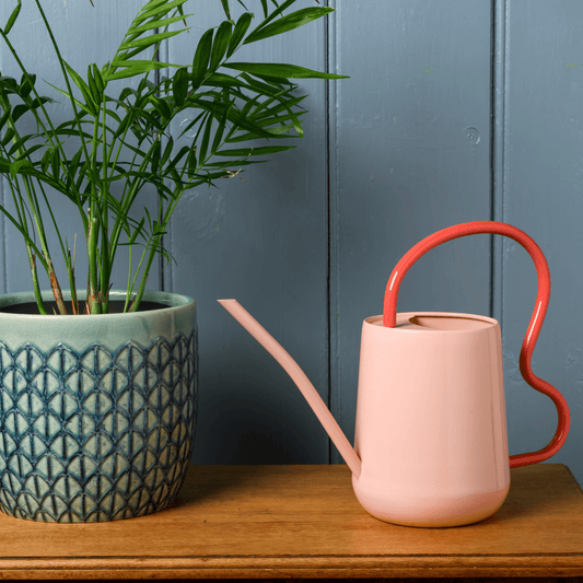 Pink Burgon & Ball indoor watering can next to a potted plant on a wooden surface.