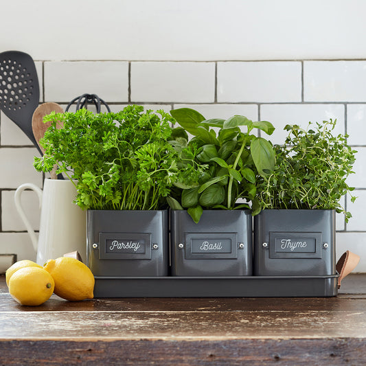 Kitchen Herb Pots