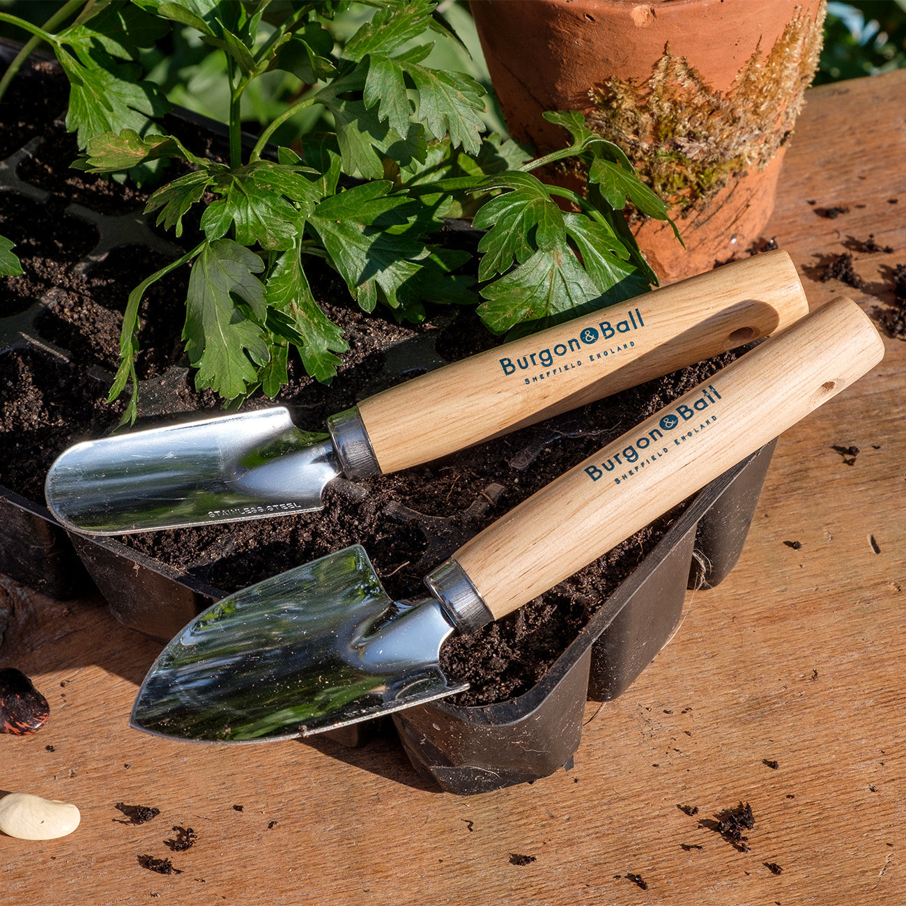 Handy sized pair of trowels.