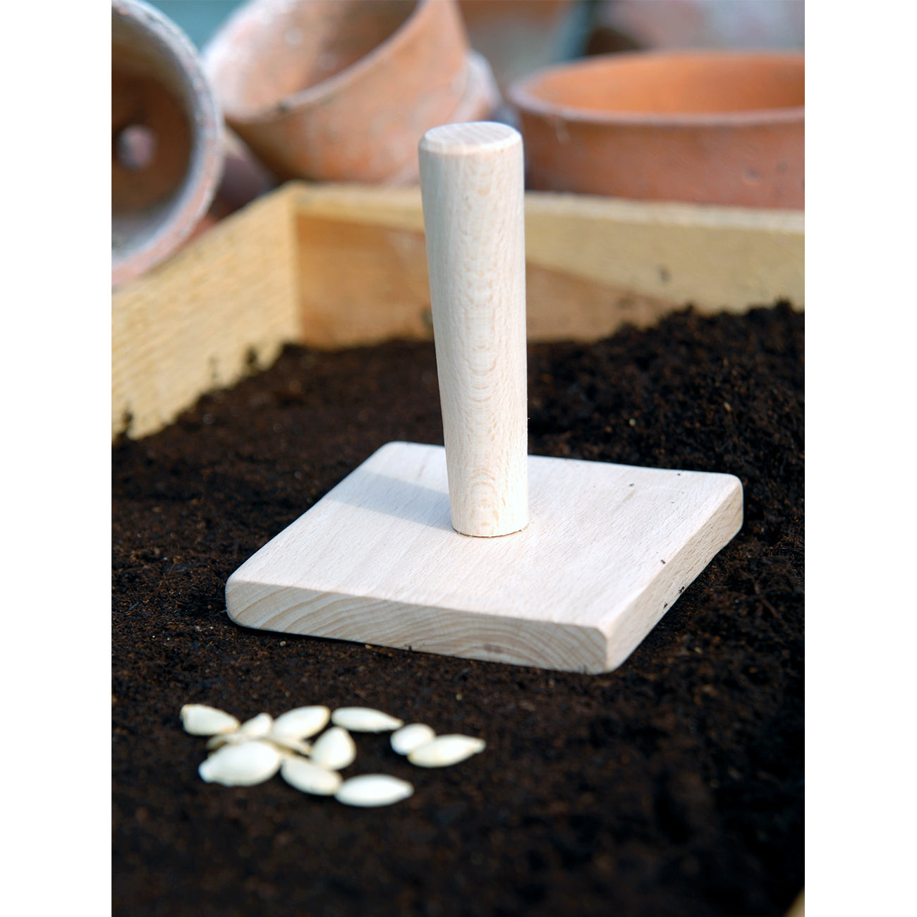 Seed Tray Tamper in Soil