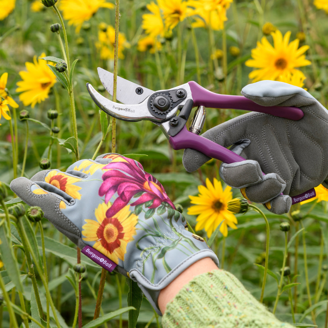 Gardening with 'Asteraceae' Gloves
