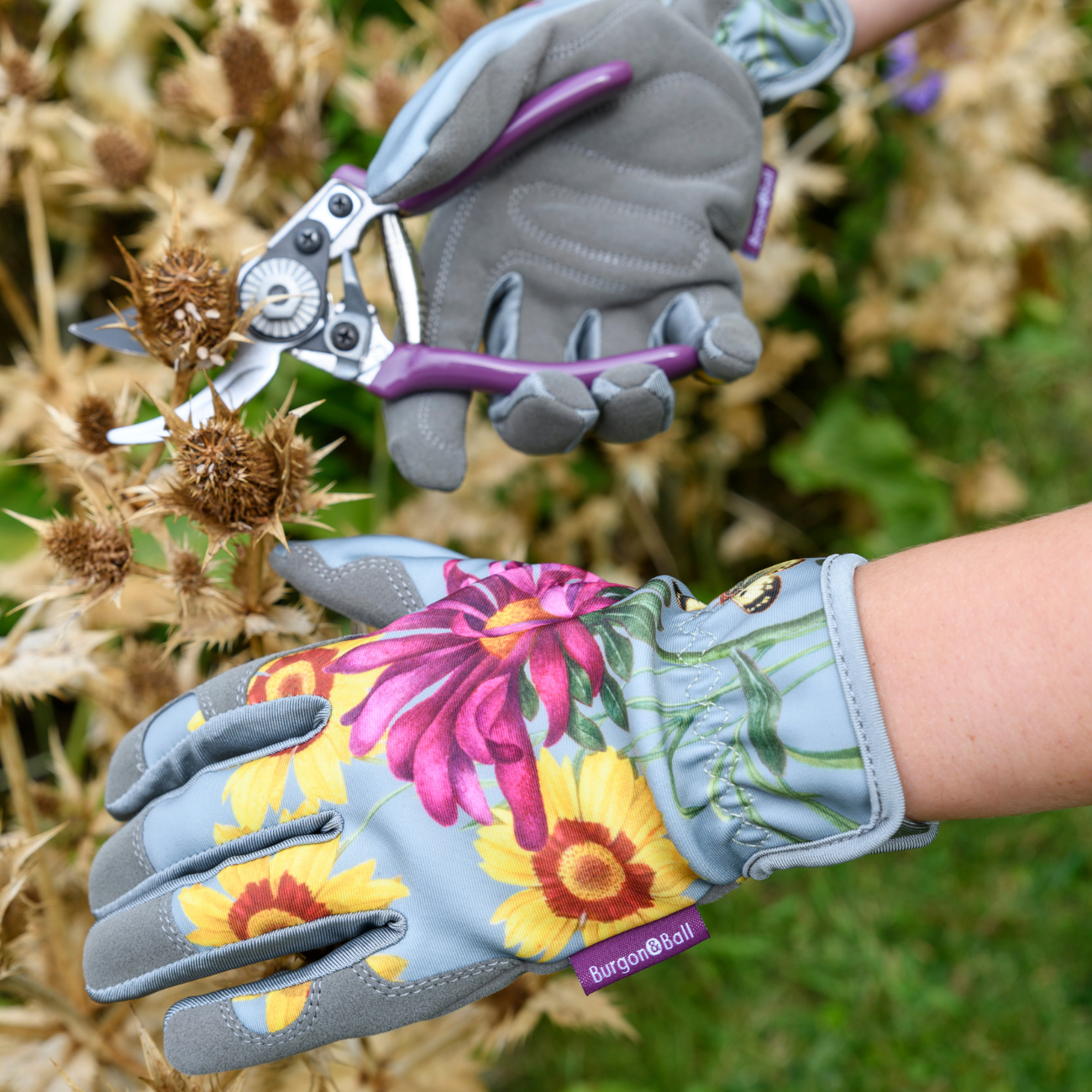 Pruning with Burgon & Ball 'Asteraceae' Gardening Gloves