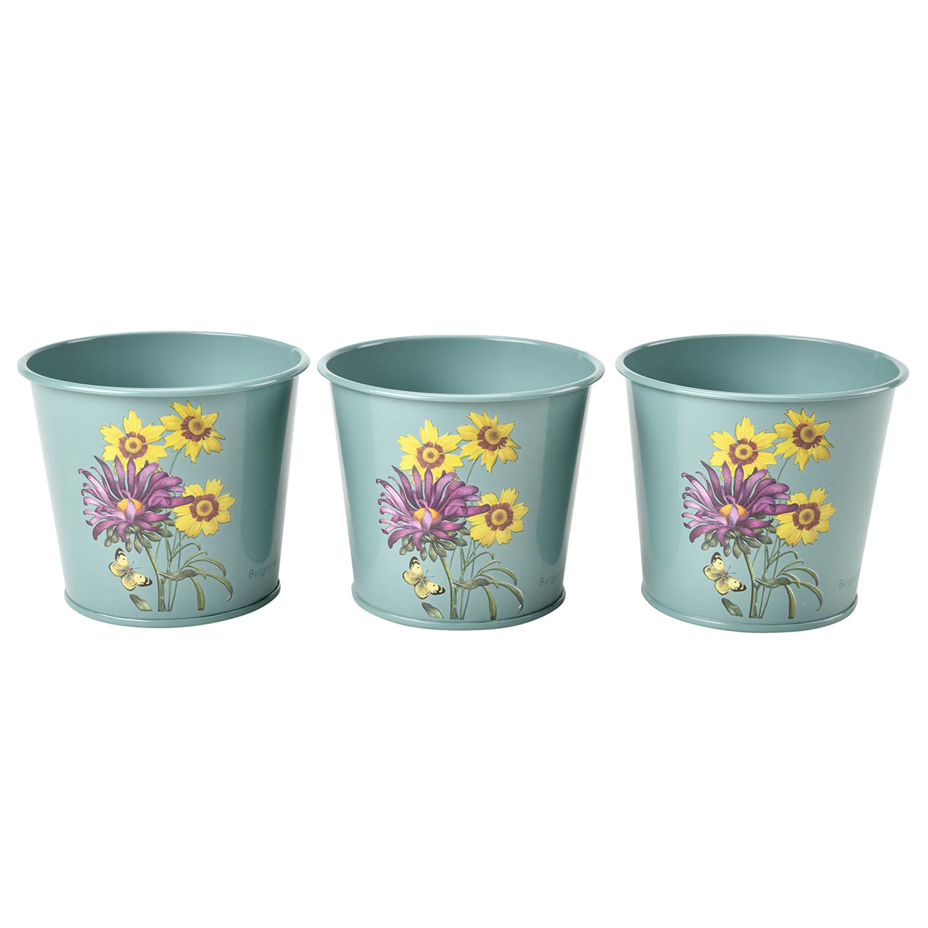 rhs plant pots Burgon & Ball RHS 'Asteraceae' Collection Herb Pots