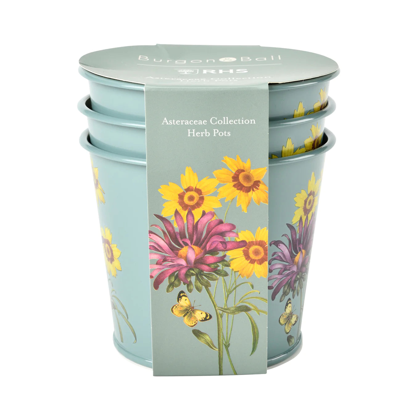 Burgon & Ball Asteraceae Collection Herb Pots