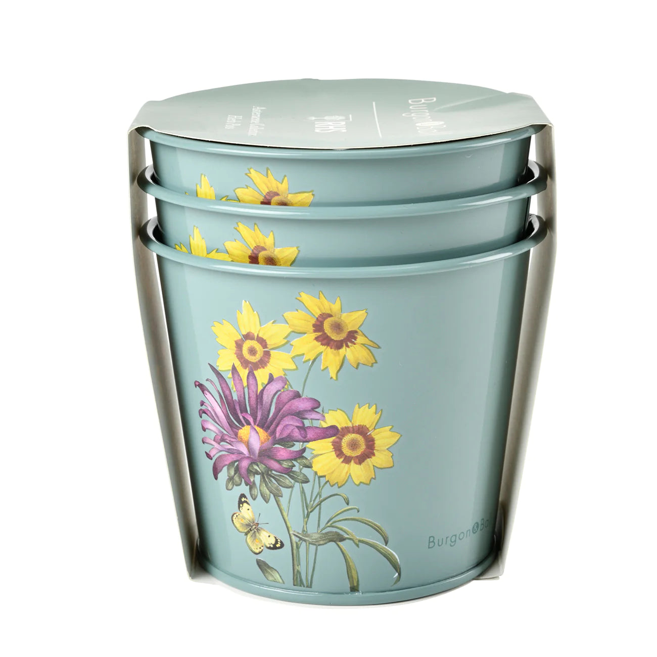 Burgon & Ball RHS Gifts for Gardeners Asteraceae Herb Pots Packaging