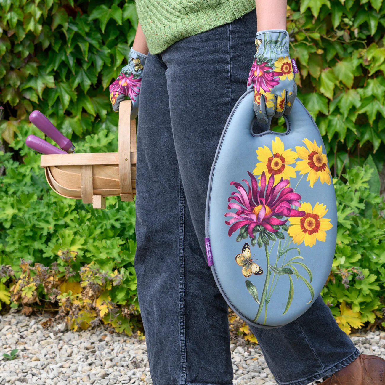 'Asteraceae' Gardening Collection