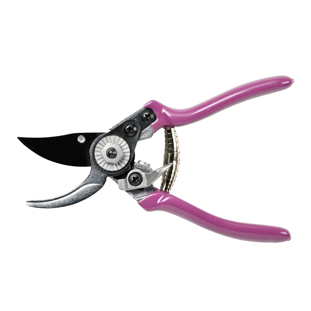 RHS 'Asteraceae' Garden Pruner