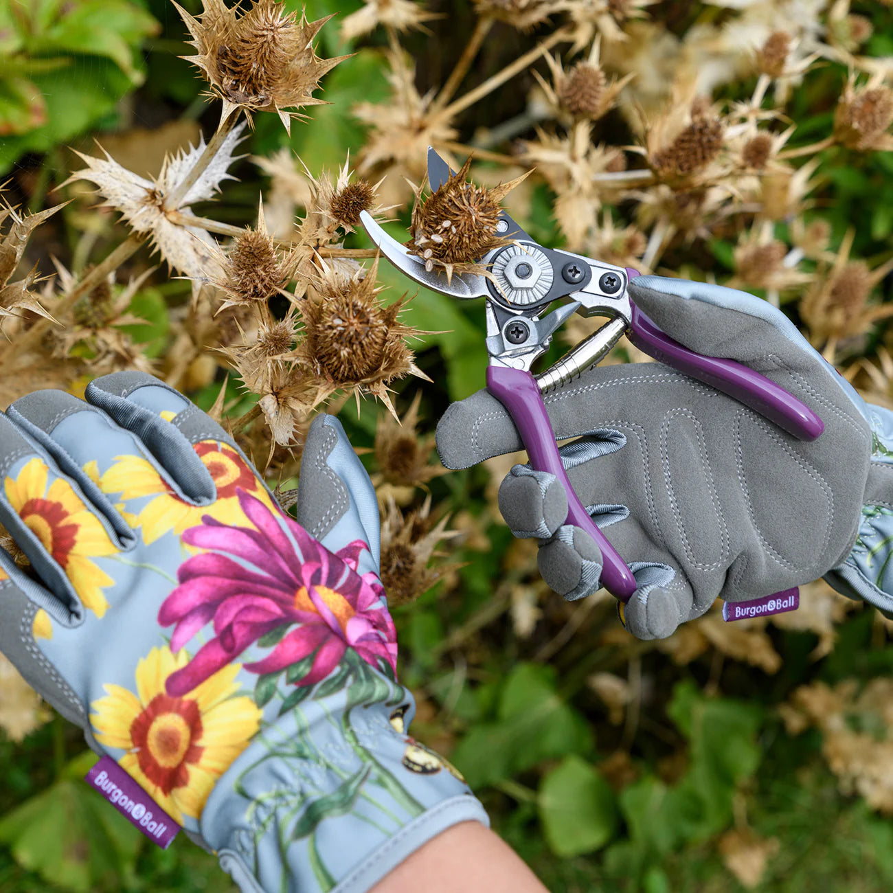 Burgon & Ball RHS 'Asteraceae' Garden Pruner