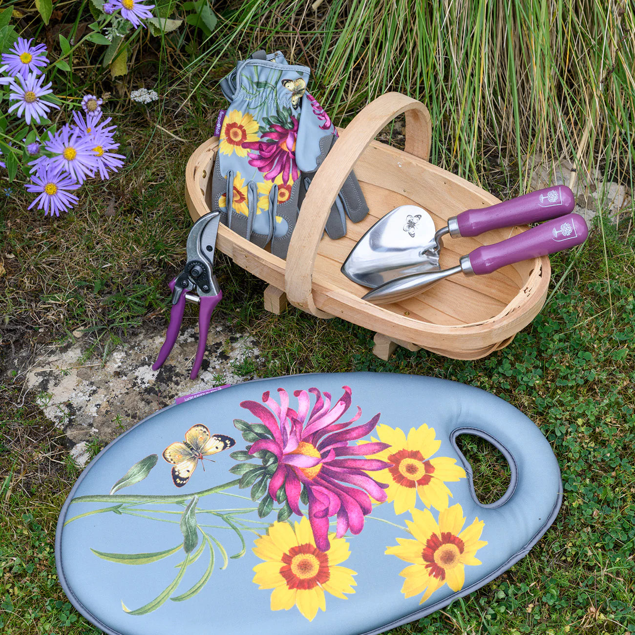 RHS Gifts for Gardeners Asteraceae Collection