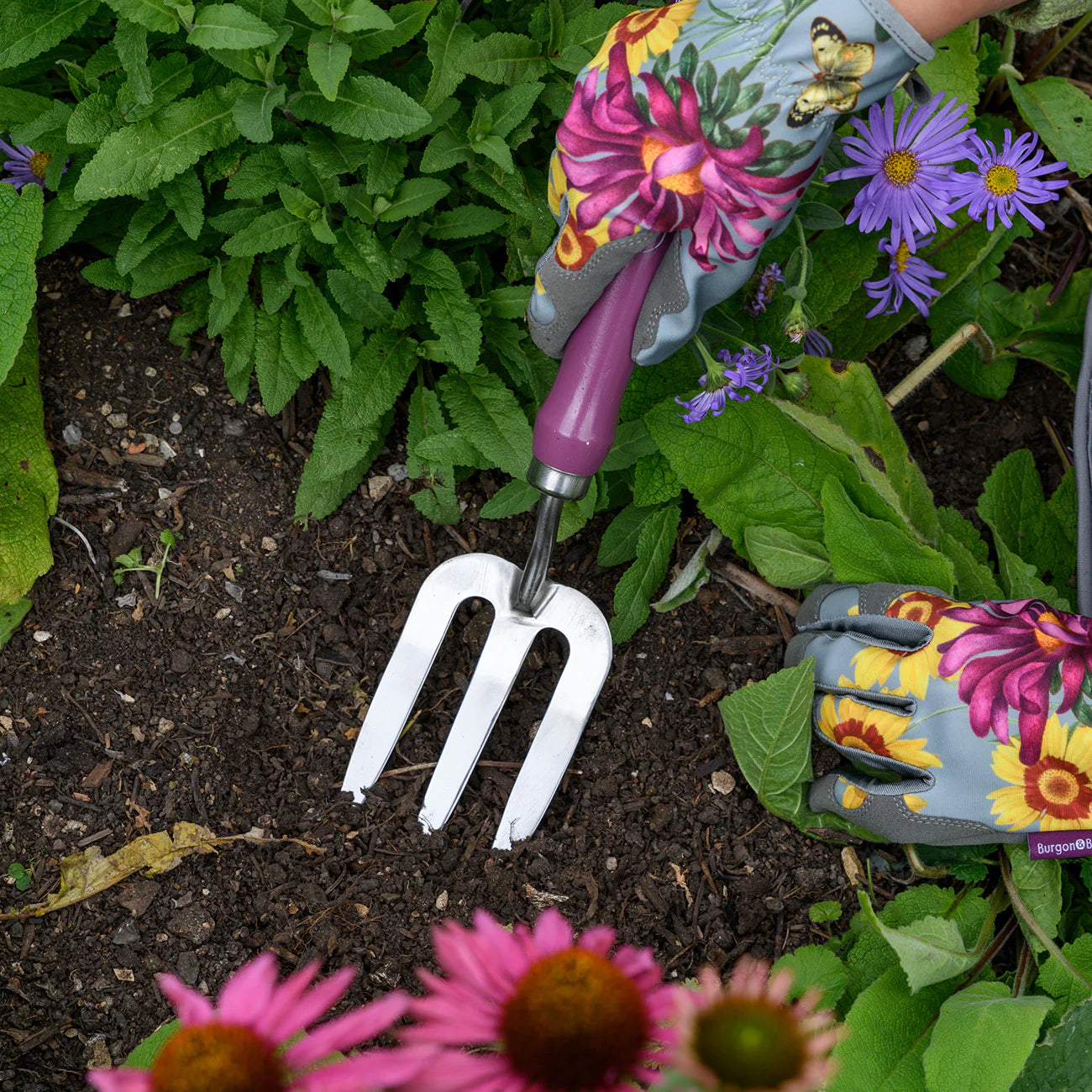 RHS Gifts for Gardeners 'Asteraceae' Fork