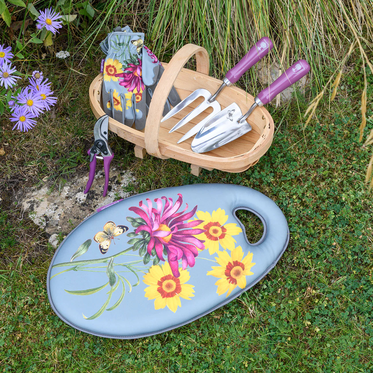 RHS Gifts for Gardeners 'Asteraceae' Collection