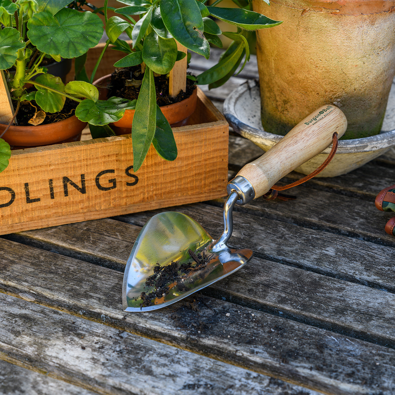 Burgon & Ball RHS Planting Trowel in Garden