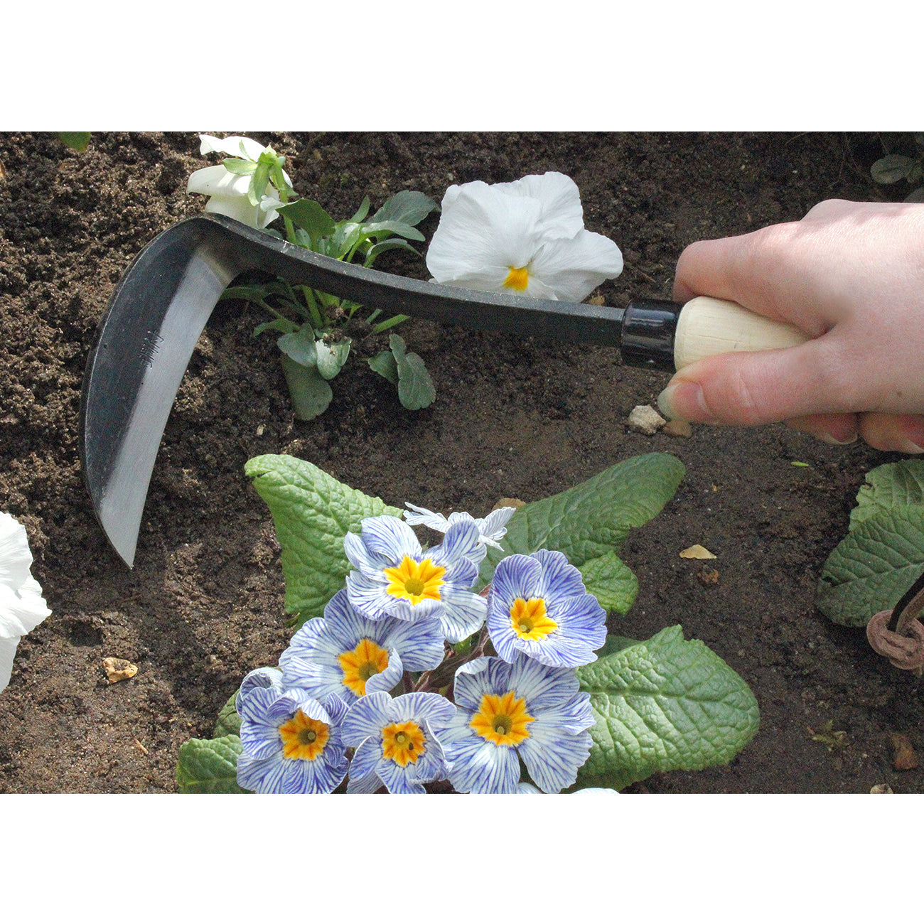 Gardening Hoe by Burgon & Ball