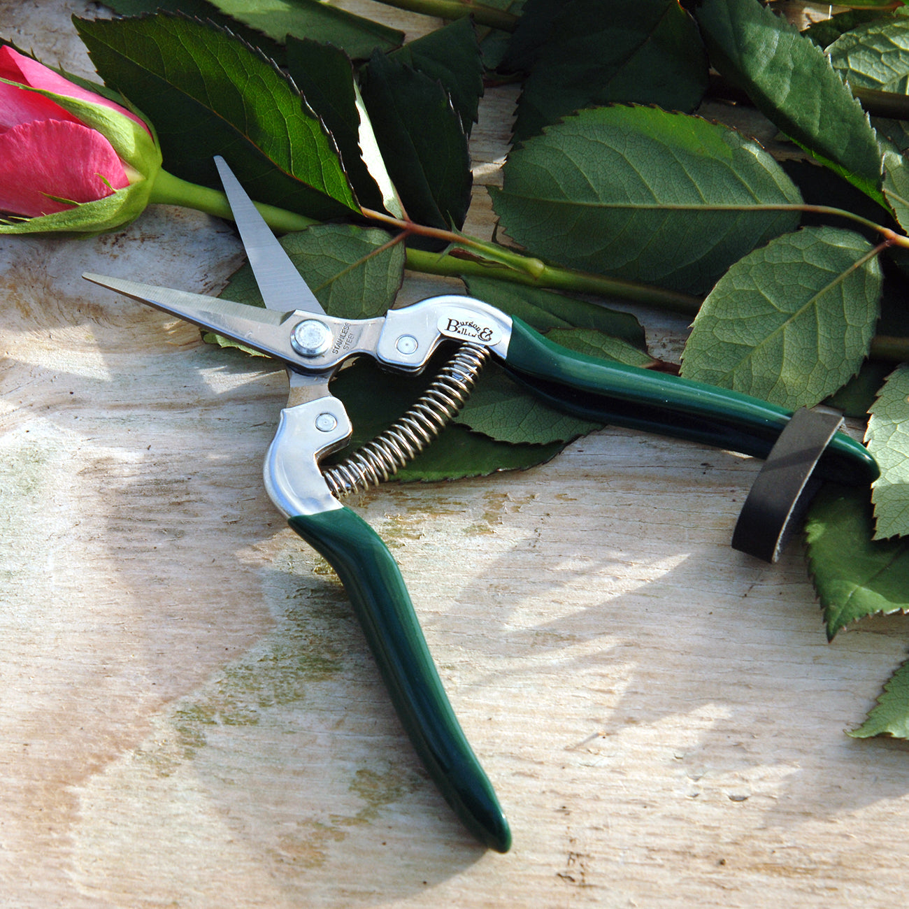 RHS Flower & Fruit Garden Snips