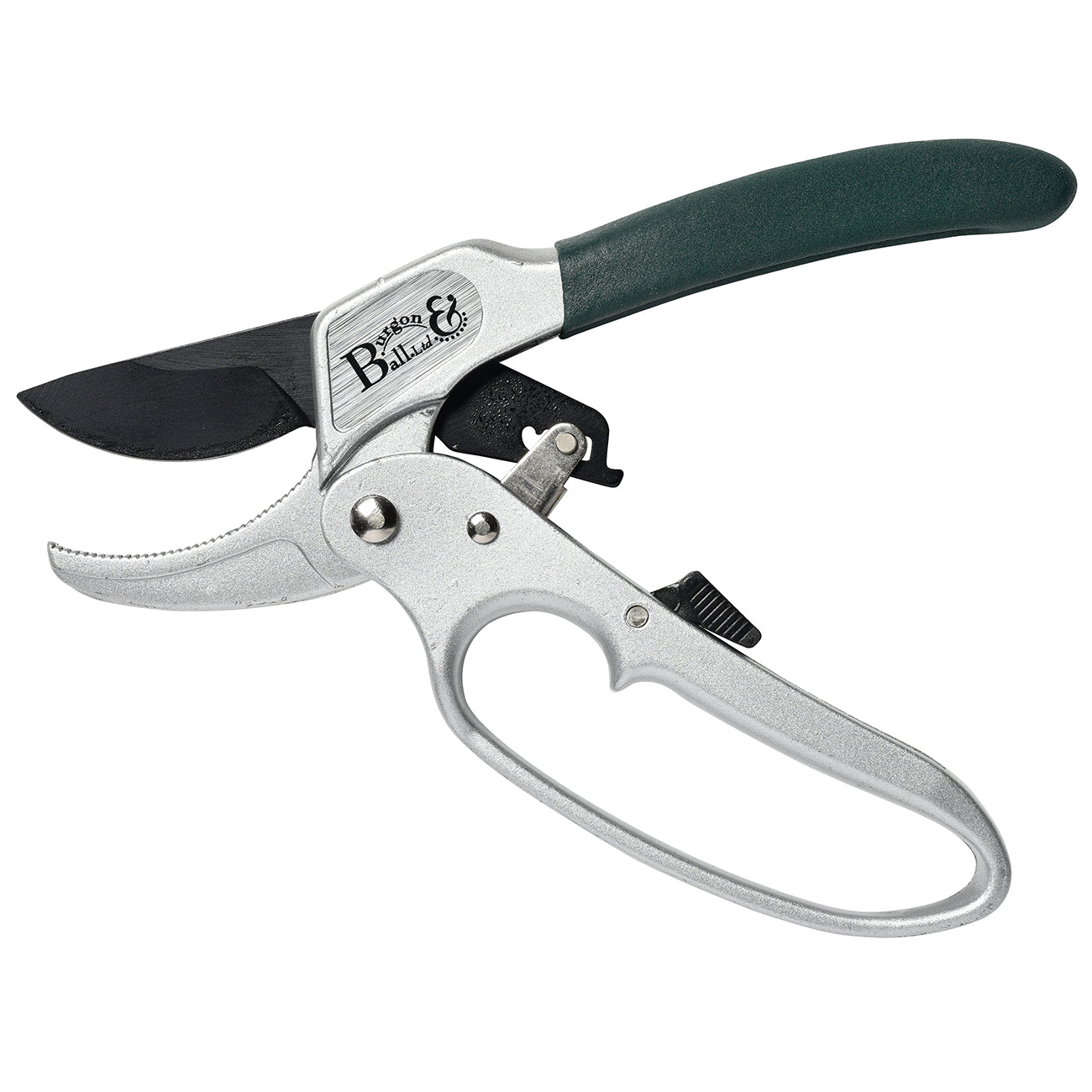 RHS Endorsed Ratchet Pruner