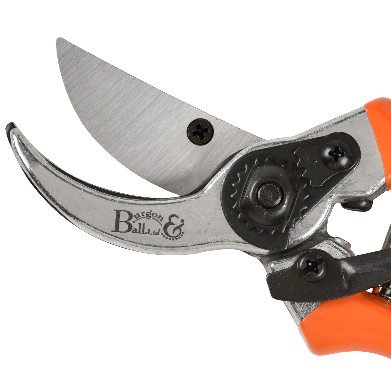 Burgon & Ball RHS-Endorsed Bypass Secateurs Blade