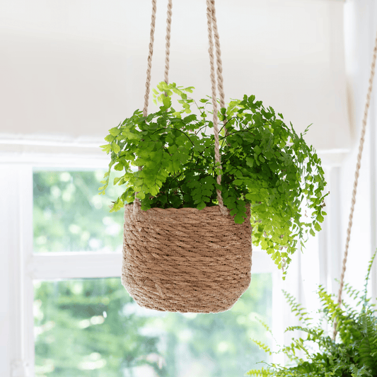Garden Trading Seagrass Hanging Plant Pot with Fern