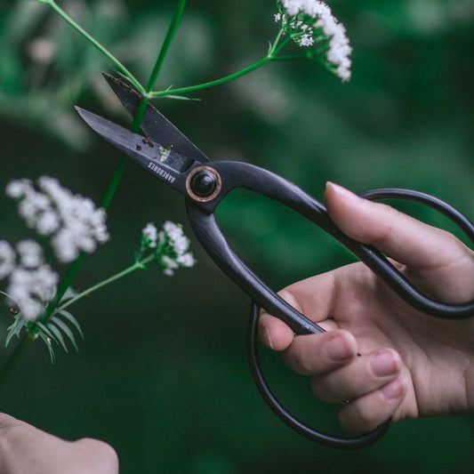 Gardening with Barebones Artisan Pruning Shears