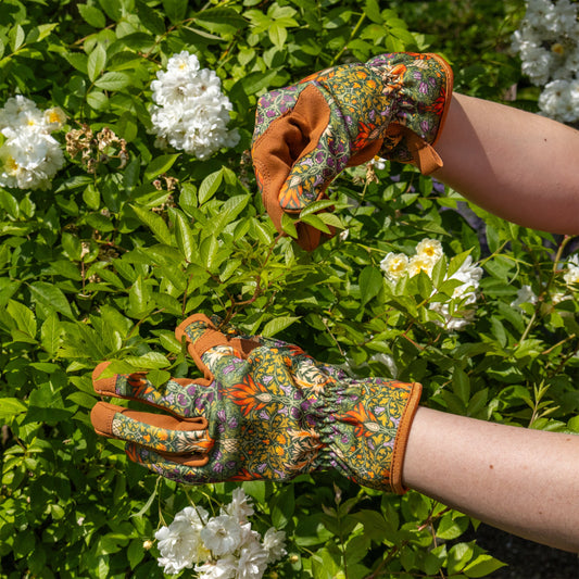 Gardening in Orange Grove Women's Gloves, William Morris Snakeshead Green
